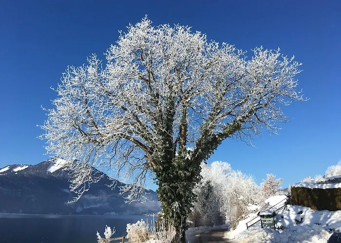 فندق Seehang Garni